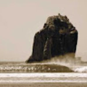 Meet your Posher, Ludwig